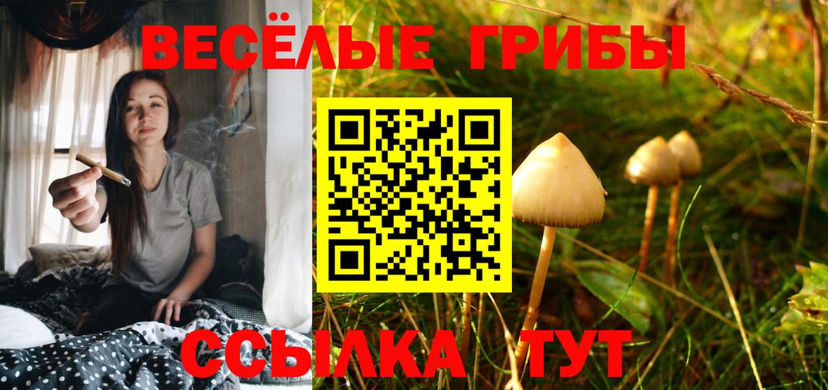 Псилоцибиновые грибы GOLDEN TEACHER  Вход с VPN  Галлюциногенные грибы Magic Shrooms  Приморско-Ахтарск 
